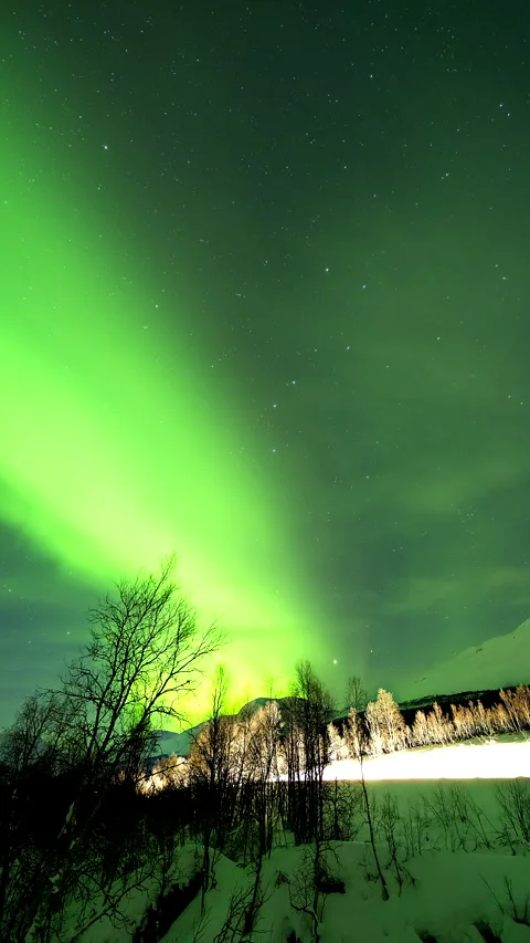 Vibrant Aurora Borealis Vertical Timelapse Over Snowy Forest Landscape Stock Footage 345839829