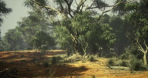 Vibrant Australian landscape showcasing eucalyptus trees in the sunlight Stock Illustration