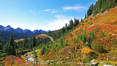 Vibrant Autumn Colors Along Reflection Lake Trail in Mount Rainier National Park Stock Footage 332139014