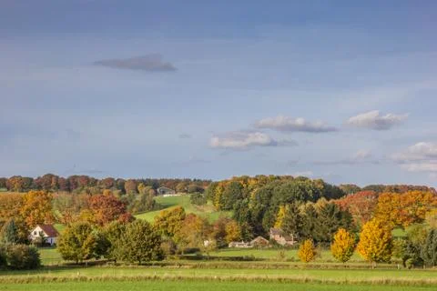 Vibrant autumn colors in Groesbeek Stock-Fotos