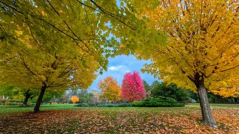 Vibrant autumn foliage frames James Gardens in Toronto Stock-Fotos