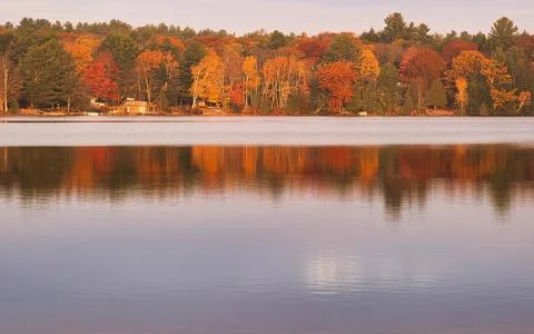 Vibrant autumn foliage reflects in a calm lake with scattered lakeside homes Stock Photos