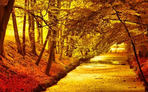 Vibrant Autumn Forest Path Lined with Trees and Golden Yellow Leaves Creati.. Stock Photos