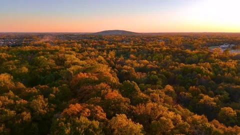 Vibrant autumn trees lit under evening light at Detroit suburbs in Michigan. Видео 320982429