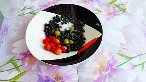 Vibrant Berries in Bloom: Sugar Falls Like Morning Light Video stock 312444535