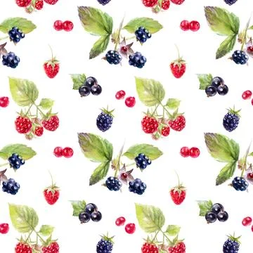 Vibrant Berry Pattern Background with Blackberries, Raspberries, and Red 스톡 일러스트