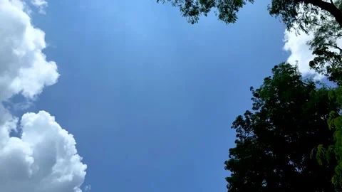 Vibrant blue sky framed by lush green tree branches and fluffy white clouds.. Video stock 339295831