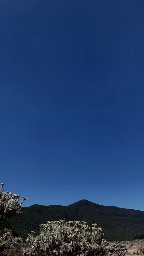 Vibrant Blue Sky Over Mountain Ridge and Vegetation Stock Footage 341320402