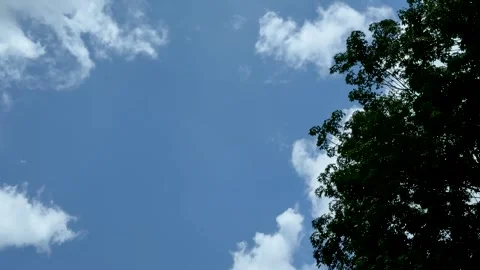 Vibrant blue sky with scattered white clouds and lush green tree silhouette.. Stock Footage 339296090