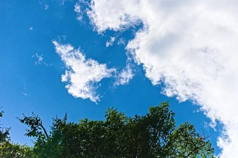 Vibrant Blue Sky with White Clouds Fotos de archivo