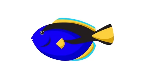 Vibrant Blue Tang Surgeonfish Vector Icon Isolated on White Background Stock Footage 345931041