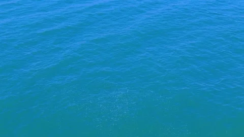 Vibrant blue water surface gently rippling under the sunlight Stock Footage 316333811