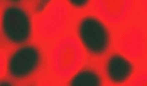 Vibrant Blurred Light Texture Wallpaper Illustrazione stock