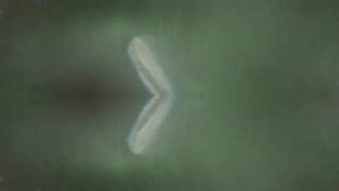 Vibrant bokeh sci-fi beautiful holographic background. 스톡 동영상 164924082