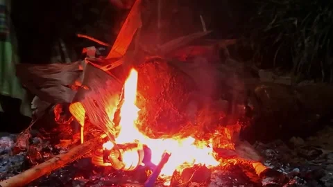 Vibrant bonfire with burning logs and glowing embers, providing warmth and .. Stock Footage 341680152