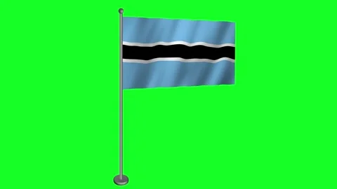 Vibrant Botswana Flag Waving in the Wind 4K Animation Footage Stock-Footage 276621138