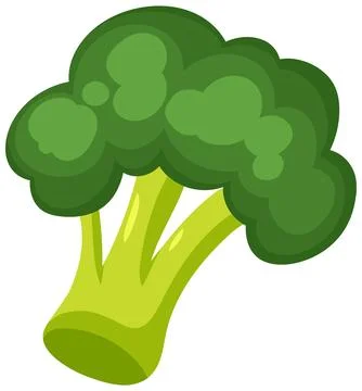 Vibrant Broccoli Vector Illustration Stock Illustration
