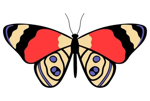 Vibrant Butterfly Flat Design Stock-Illustration