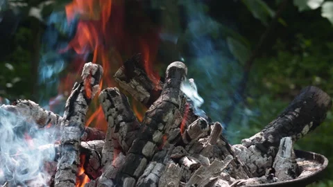 Vibrant Campfire Burning with Bright Orange Flames and Wisps of Rising Smoke Stock Footage 337424596
