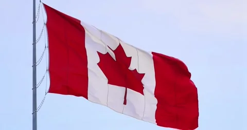 The vibrant Canadian flag, with its iconic red maple leaf, proudly waves against Stock Footage 313011839