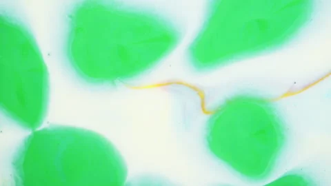 Vibrant cell fluid art with high contrast color blocking and liquid motion Stock Footage 331703314