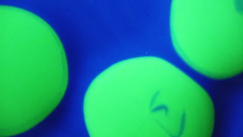 Vibrant cell fluid art with high contrast color blocking and liquid motion Stock Footage 331758625