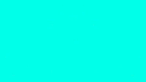 Vibrant Chartreuse Green Solid Color Background 스톡 동영상 331344614