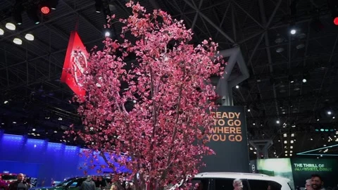 Vibrant Cherry Blossom Display at the Auto Expo, a true visual delight Vidéo 291619082