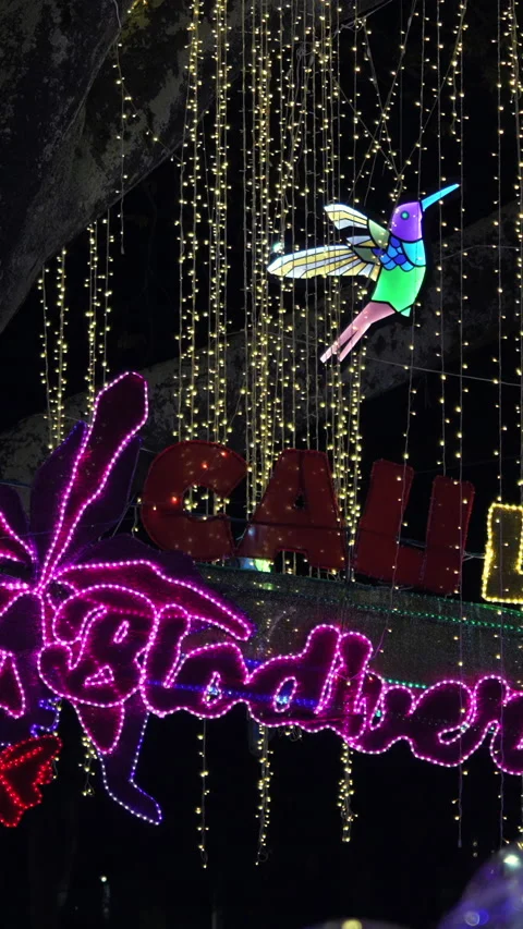 Vibrant Christmas Lights Display in Vertical Format Stock Footage 325369302