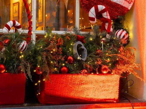 Vibrant Christmas window display featuring evergreen branches, bright red Stock Photos