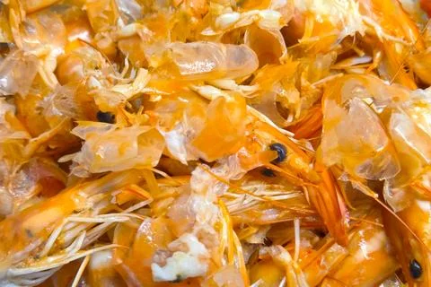 A vibrant close-up of fresh prawn shells showcasing their orange-hued texture Stock Photos
