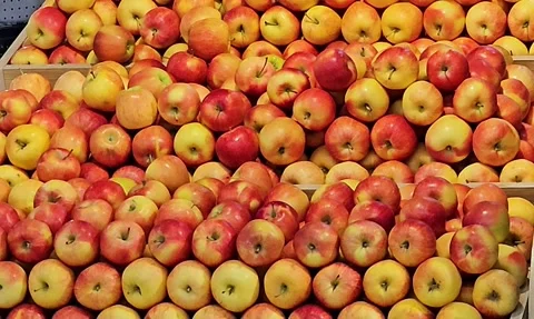 A vibrant, close-up showcasing a bountiful display of fresh, ripe apples. 스톡 동영상 311884432