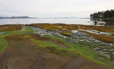 Vibrant Coast Stock Photos