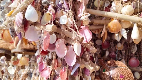 Vibrant coastal seashell wind chime swaying in gentle ocean breeze Stock Footage 331432247