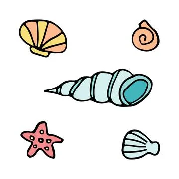Vibrant collection of beach shells and starfish. Coastal marine illustration Stock Illustration