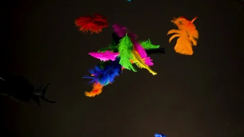 Vibrant colored feathers gently fall down in slow motion. 스톡 동영상 124420666