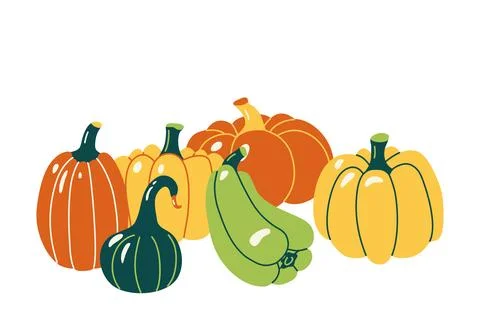 Vibrant colored pumpkins and squashes. 스톡 일러스트
