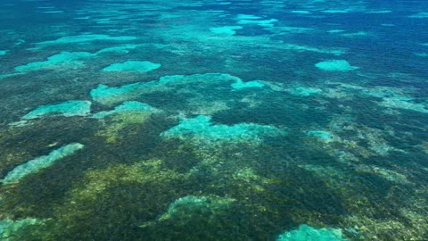 Vibrant Coral Reef in Clear Tropical Waters. Aerial View Stock Footage 312482753