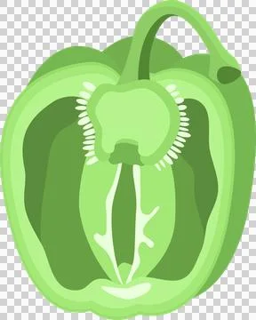 A vibrant cross-section of a crisp, raw, green bell pepper, revealing its i.. Stock Illustration