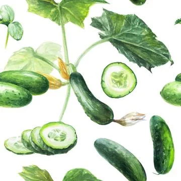 Vibrant cucumber pattern on white background, symbolizing freshness and organic Stock Illustration