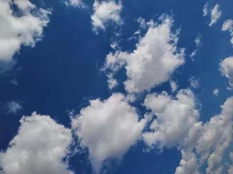Vibrant, deep blue sky filled with bright, white, puffy cumulus clouds. Stock Photos