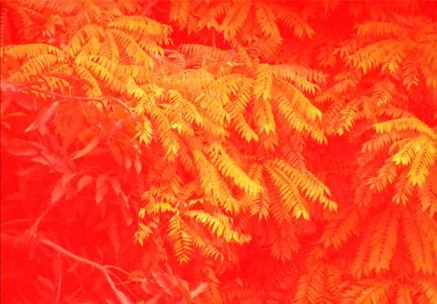 Vibrant digital backdrop featuring an intense red color field overlaid with.. Stock Illustration