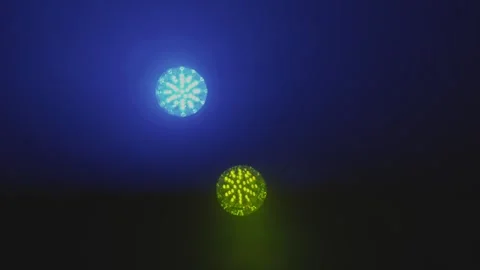 A Vibrant Display of Colorful Light Effects Set Against a Dark, Dramatic Stock Footage 310194623