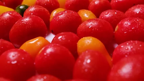 A vibrant display of fresh cherry tomatoes arranged in a colorful array Stock Footage 309503116