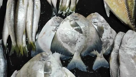 Vibrant Display of Fresh Ocean Fish Laid Out on the Market Counter Stockbeeldmateriaal 270861545