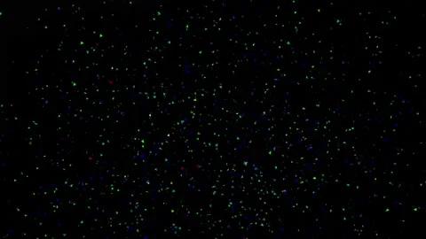 A vibrant double pop confetti animation in high resolution 4k for celebrato.. Видео 327793957