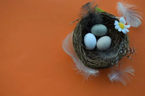 Vibrant Easter Egg Collection: Pysanka, Minimalist Design, and Bird Nest Stock Photos