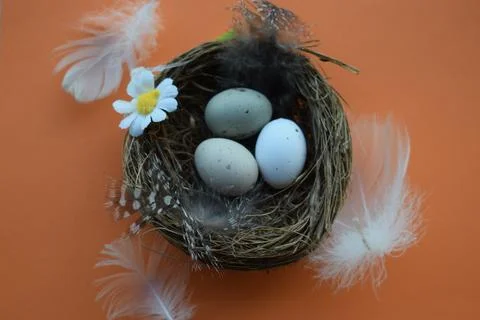 Vibrant Easter Egg Collection: Pysanka, Minimalist Design, and Bird Nest Stock Photos