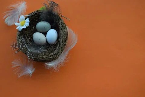 Vibrant Easter Egg Collection: Pysanka, Minimalist Design, and Bird Nest Stock Photos