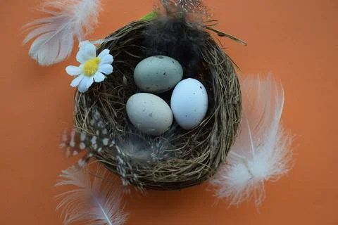 Vibrant Easter Egg Collection: Pysanka, Minimalist Design, and Bird Stock Photos